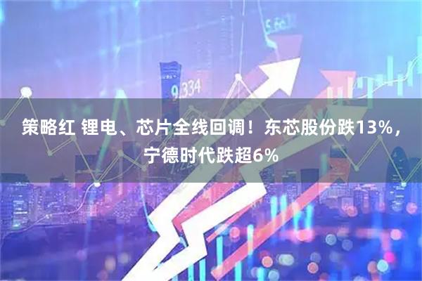 策略红 锂电、芯片全线回调！东芯股份跌13%，宁德时代跌超6%