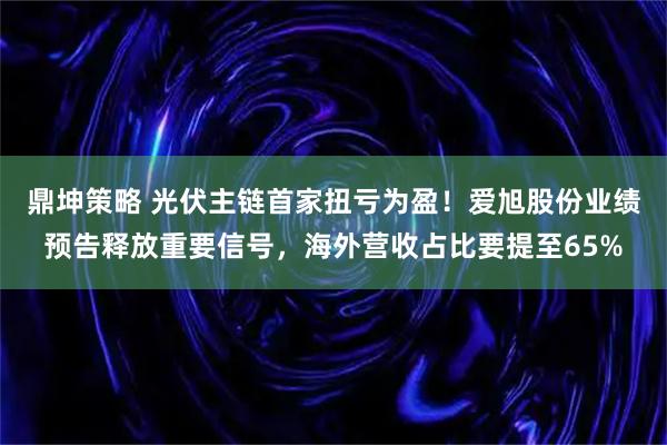 鼎坤策略 光伏主链首家扭亏为盈!爱旭股份业绩预告释放重要信号,海外营收占比要提至65%