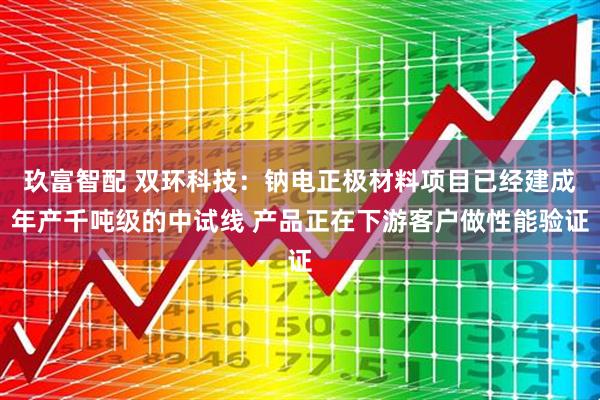玖富智配 双环科技：钠电正极材料项目已经建成年产千吨级的中试线 产品正在下游客户做性能验证